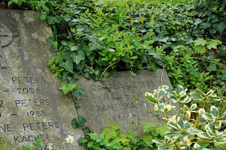 Bad Godesberg
